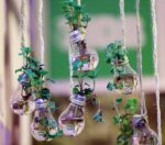 4bulbs-IMG_2515