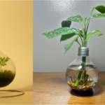 bulb2