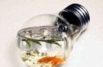 recycle-older-light-bulbs