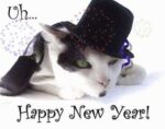 HappyNewyear-Cat
