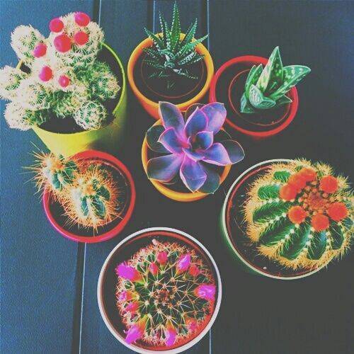 f4ebe0dc88b933952cc2beb73985e40e