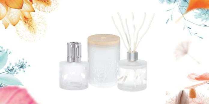 Special Offer 50_ Off-01