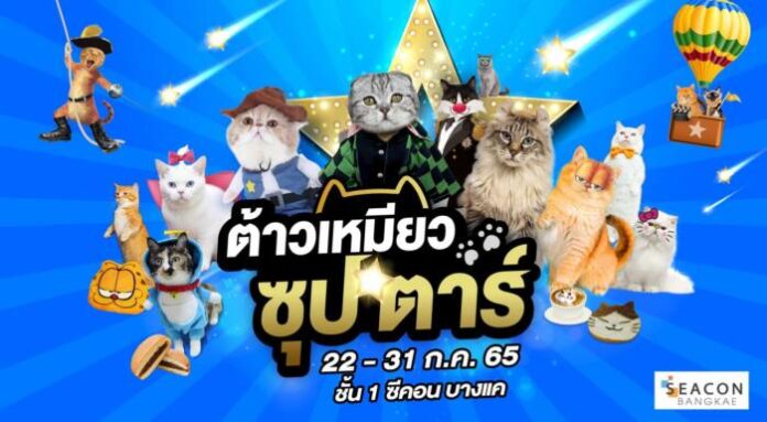 ต้าวเหมียว ซุป’ตาร์ แนวนอน_re