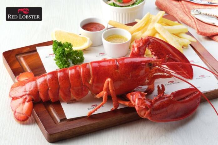 1_Live Maine Lobster