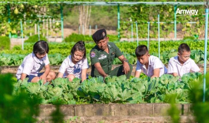 โครงการฟาร์มสุขภาพของหนู_แอมเวย์ 1
