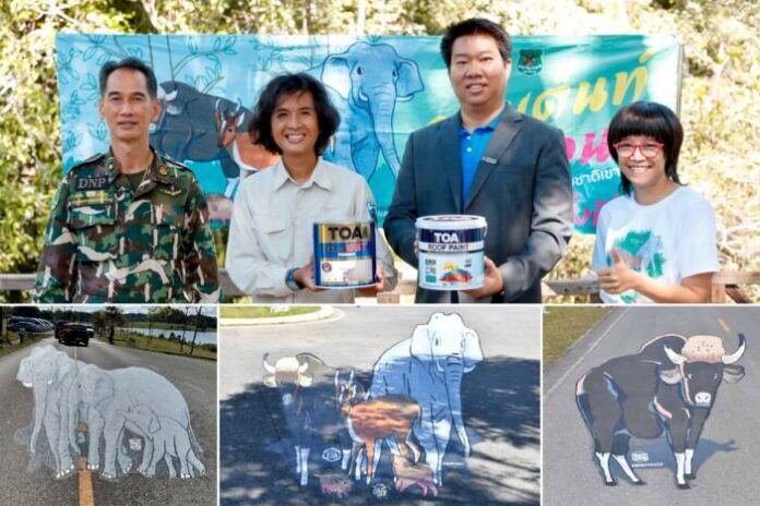 TOA เพนท์ถนน เขาใหญ่