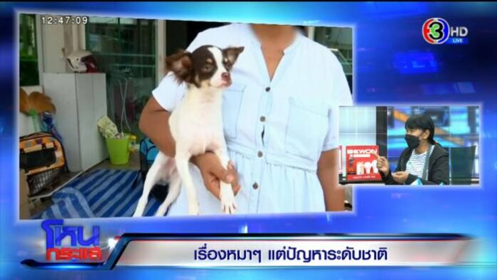 INSERT2.00_15_28_05.Still5074