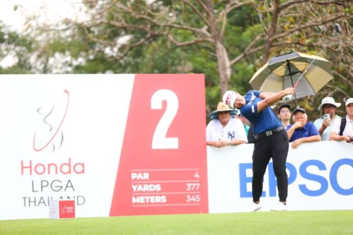 EpsonxLPGA (1)