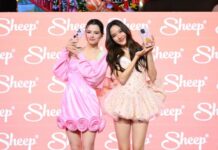 SHEEP รวมด้อมสุดปัง “ฟรีน-เบ็คกี้” แท็กทีม “พั้นรักแมว” จัดเต็มสร้างโมเม้นท์พิเศษส่งท้ายปี ในงาน Carry the “Celeb” ration