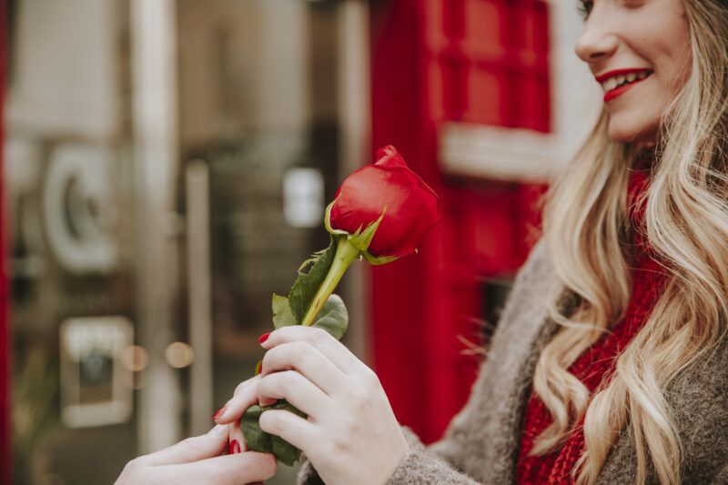 กุหลาบแดง ดอกไม้ สัญลักษณ์วันวาเลนไทน์