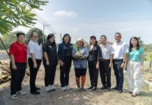 ซีพี แอ็กซ์ตร้า หนุนสินค้าเกษตร GI ลงพื้นที่ “แห้วสุพรรณ” ขยายช่องทางจำหน่ายผ่านแม็คโคร–โลตัสทั่วประเทศ