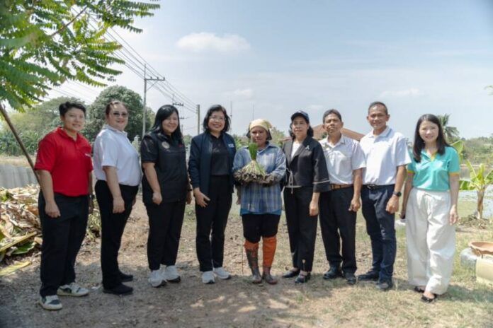 CP AXTRA_แห้วสุพรรณ 01