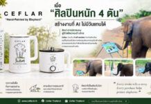 “เคฟล่า” จับมือ “ปางช้างแม่แตง” เปิดตัวคอลเลกชันพิเศษ CEFLAR x SUDA เครื่องใช้ไฟฟ้าจากศิลปะช้างไทย