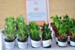 1790065853670
